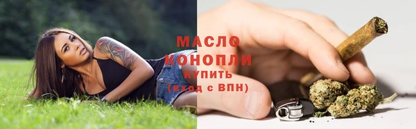 трава Аркадак