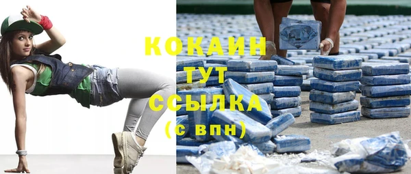 трава Аркадак