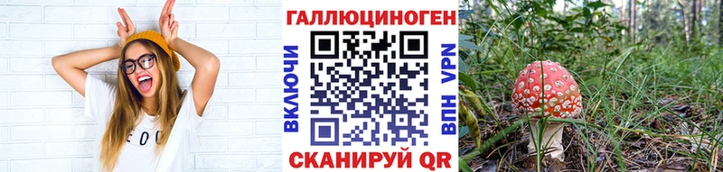 наркотики Себеж Псилоцибиновые грибы прущие грибы